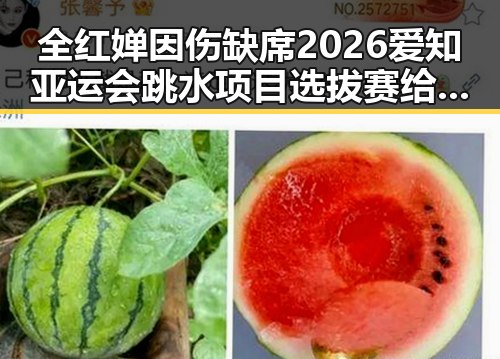 全红婵因伤缺席2026爱知亚运会跳水项目选拔赛给阿嬷的情书全球上映引发关注