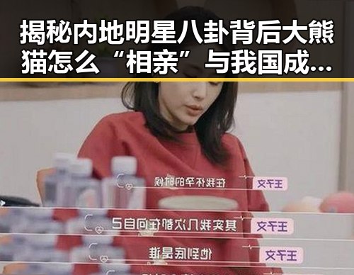 揭秘内地明星八卦背后大熊猫怎么“相亲”与我国成功发射千帆极轨11组卫星的反差奇观