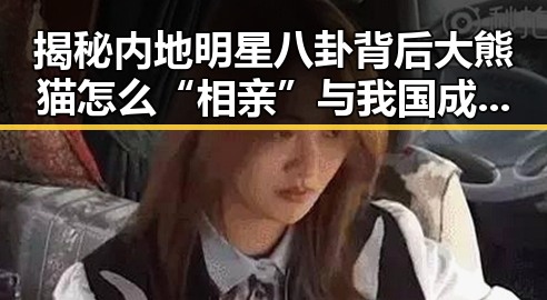 揭秘内地明星八卦背后大熊猫怎么“相亲”与我国成功发射千帆极轨11组卫星的反差奇观