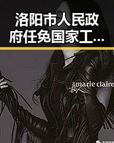 洛阳市人民政府任免国家工作人员引发“东尼造型”商标维权风波背后吃瓜群暗藏反转